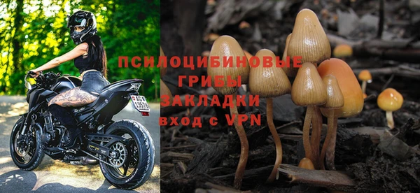 стафф Абдулино