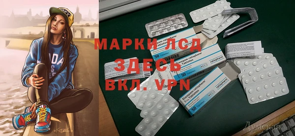 ECSTASY Алзамай