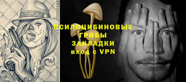 СК Инсар