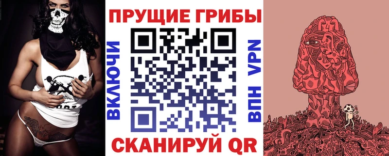 купить наркотик  Яровое  Псилоцибиновые грибы Cubensis 